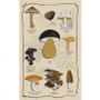 Tea towel - In the forest tea towel gift box - BEAUVILLÉ
