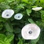 Floral decoration - Round small glass flower for outdoor use in white, red colour with 43 cm stainless steel stem - CARNEOL GLASS