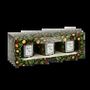 Candles - Winter Lights Candle Set 3x90g Rosé Champagne - Fir - Fireside Tea - LES LUMIERES DU TEMPS