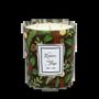 Candles - Winter Lights Candle 350g Fir - LES LUMIERES DU TEMPS