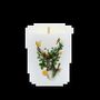 Candles - Enchanted Traditions Candle 180g Orange Cinnamon - LES LUMIERES DU TEMPS
