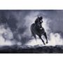 Autres tapis - Tapisserie Cheval au galop - NEO TAPIS