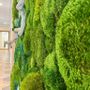 Revêtements muraux - Panneaux et Murs - ATELIER ECOGREEN