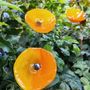 Floral decoration - Yellow-orange cala flower - CARNEOL GLASS