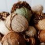 Other Christmas decorations - Pinecone and Fabric Acorns (Cream) - WE LOVE SEASONS