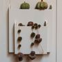 Decorative objects - Green Stoneware Pumpkin - WE LOVE SEASONS