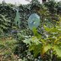 Floral decoration - Medium glass flower in transparent-blue-green colors 13 cm - CARNEOL GLASS