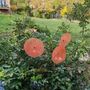 Floral decoration - Large size glass flower for outdoor use in transparent, orange, red colour with 1 meter stainless steel stem - CARNEOL GLASS