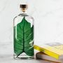 Gifts - Theophile's Herbarium — Monstera XL - Plant immersed in a bottle - THEOPHILE BERTHON
