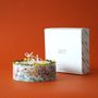Bougie botanique KOTT | Amber | Gentle Glow | 900g