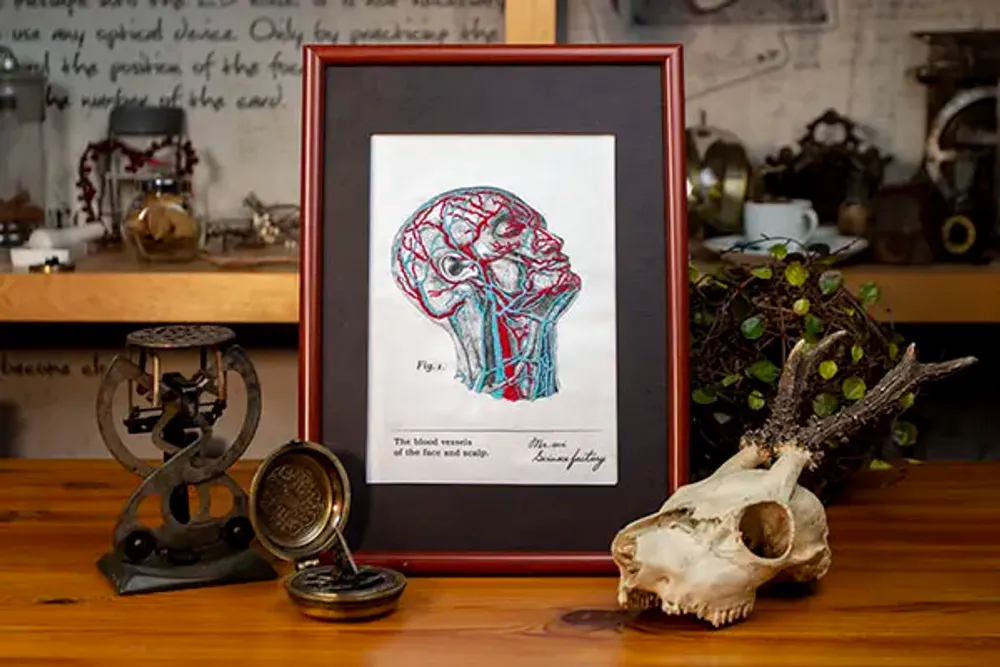 Loisirs créatifs pour enfant - APRES L'ECOLE - KITS DE BRODERIE POUR VAISSEAUX DE SANG Bricolage - SCIENCE INTERNATIONAL CO., LTD