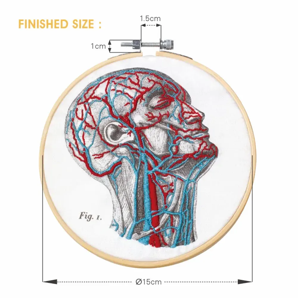 Loisirs créatifs pour enfant - APRES L'ECOLE - KITS DE BRODERIE POUR VAISSEAUX DE SANG Bricolage - SCIENCE INTERNATIONAL CO., LTD