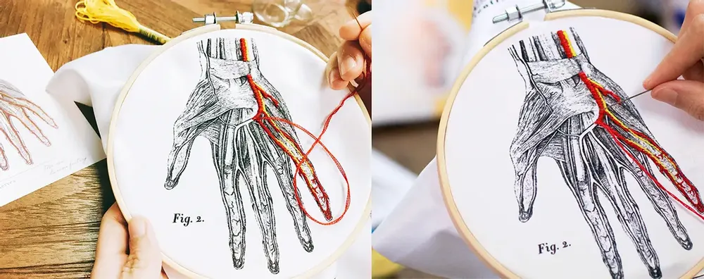 Loisirs créatifs pour enfant - APRES L'ECOLE - KITS DE BRODERIE POUR VAISSEAUX DE SANG Bricolage - SCIENCE INTERNATIONAL CO., LTD