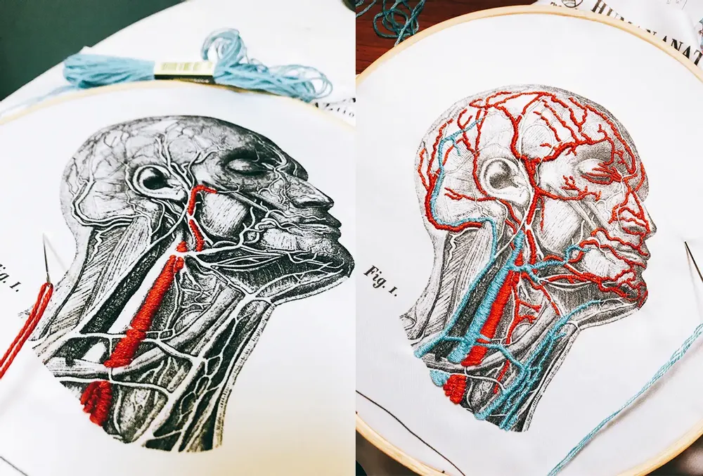 Loisirs créatifs pour enfant - APRES L'ECOLE - KITS DE BRODERIE POUR VAISSEAUX DE SANG Bricolage - SCIENCE INTERNATIONAL CO., LTD