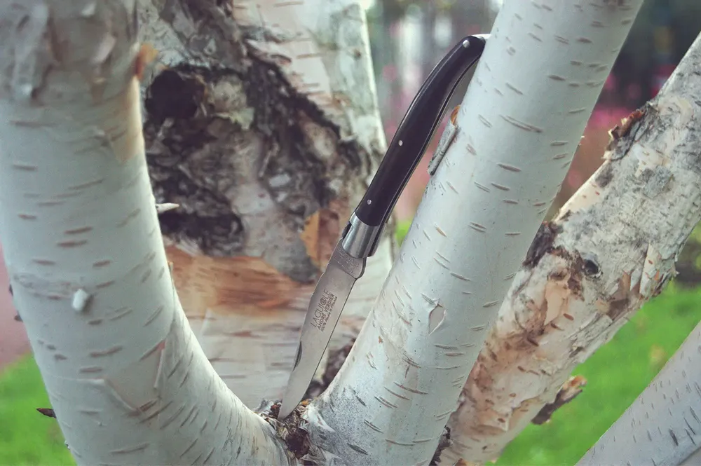 Knives - LAGUIOLE FOLDING KNIFE ANDRE VERDIER - Deluxe - VERDIER COUTELLERIE