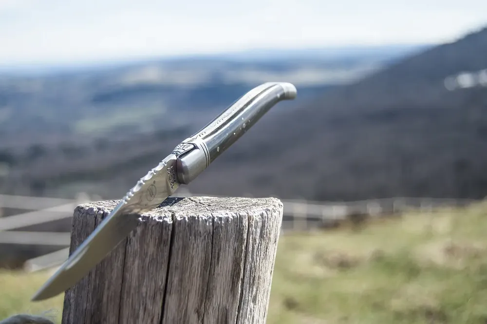 Gifts - LAGUIOLE FOLDING KNIFE ANDRE VERDIER - Prestige - VERDIER COUTELLERIE