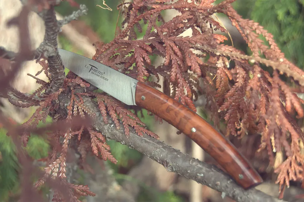 Couteaux - LE THIERS ANDRE VERDIER - Élégance plein manche - VERDIER COUTELLERIE