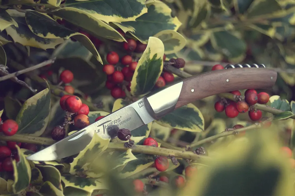 Gifts - LE THIERS FOLDING KNIFE ANDRE VERDIER - 11 cm - VERDIER COUTELLERIE