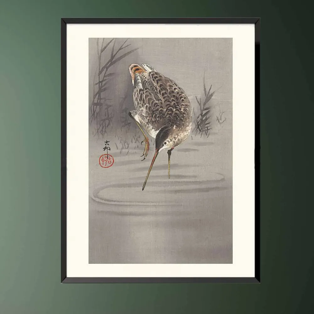 Affiches - Estampe japonaise oiseaux Bécassine solitaire de Ohara Koson prêt-à-encadrer 30x40 cm - BILLPOSTERS.FR