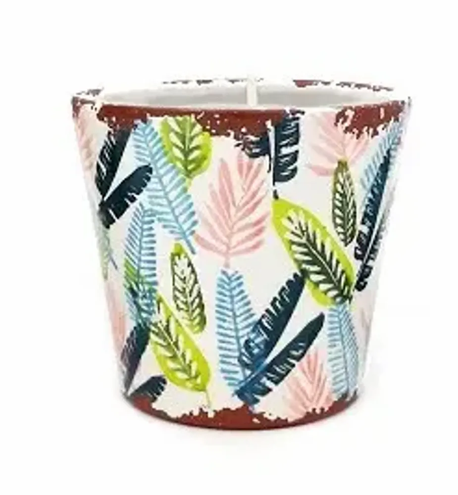 Candles - Cactus Collection Ceramic scented candles - WAX DESIGN - BARCELONA