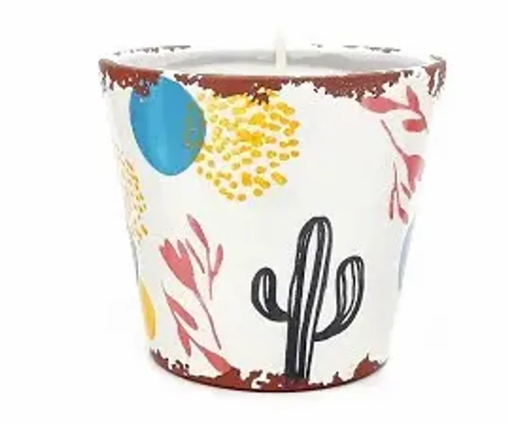 Candles - Cactus Collection Ceramic scented candles - WAX DESIGN - BARCELONA