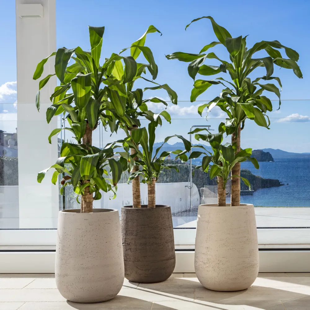 Spa - PANAREA - POT À PORTER