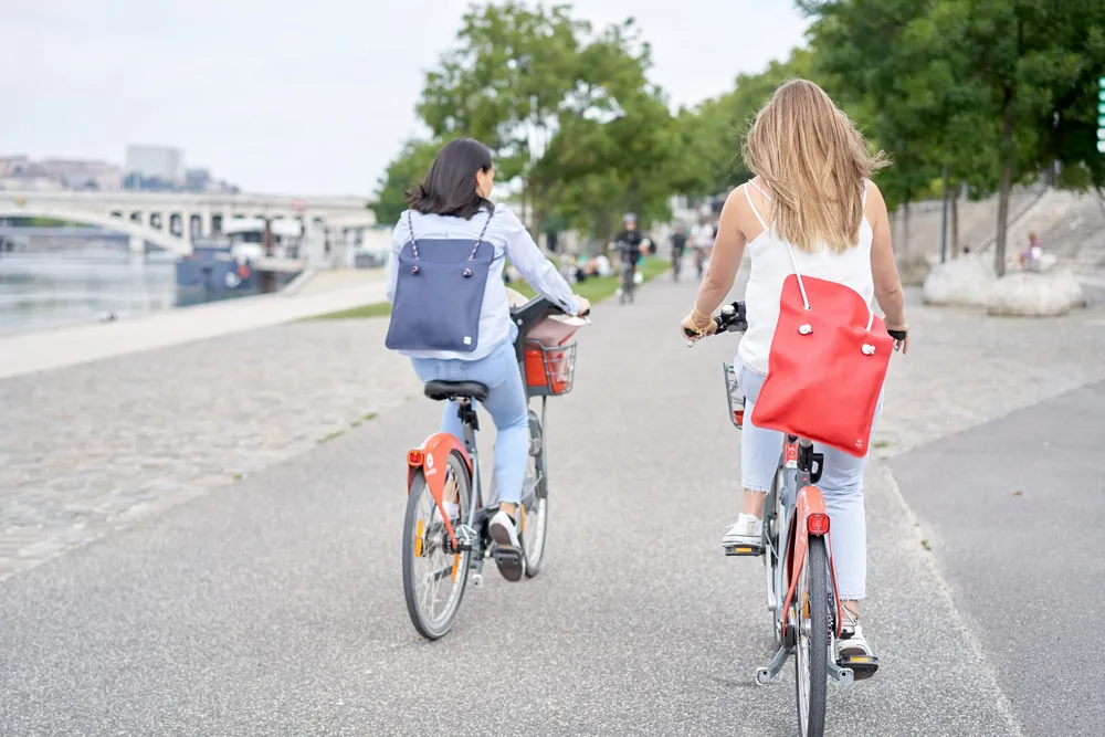 Accessoires animaux - SAC CUIR DIVINE NOIR - AMWA AND CO