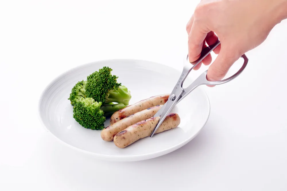 Ustensiles de cuisine - Ciseau Hasami en acier inoxydable - collection EAtoCO / YOSHIKAWA - ABINGPLUS