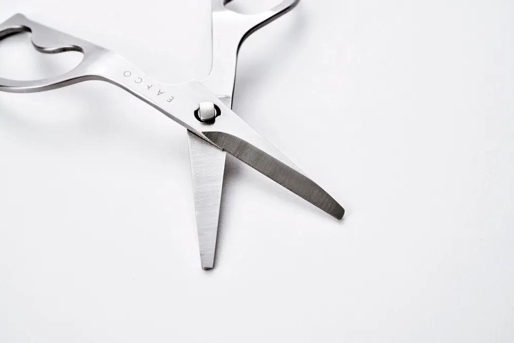 Ustensiles de cuisine - Ciseau Hasami en acier inoxydable - collection EAtoCO / YOSHIKAWA - ABINGPLUS