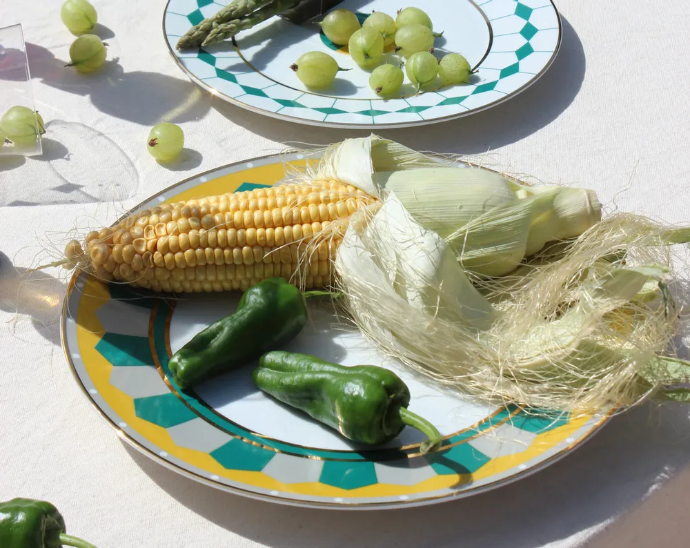 Meubles de cuisines  - Assiettes à dîner à Madère et Lagos - REFLECTIONS COPENHAGEN