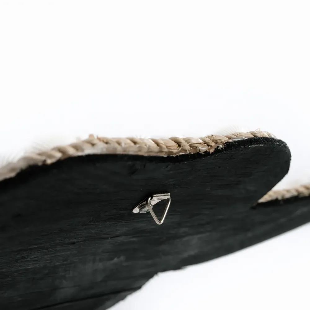 Objets de décoration - Le Bull Shell - Blanc - BAZAR BIZAR LIVING