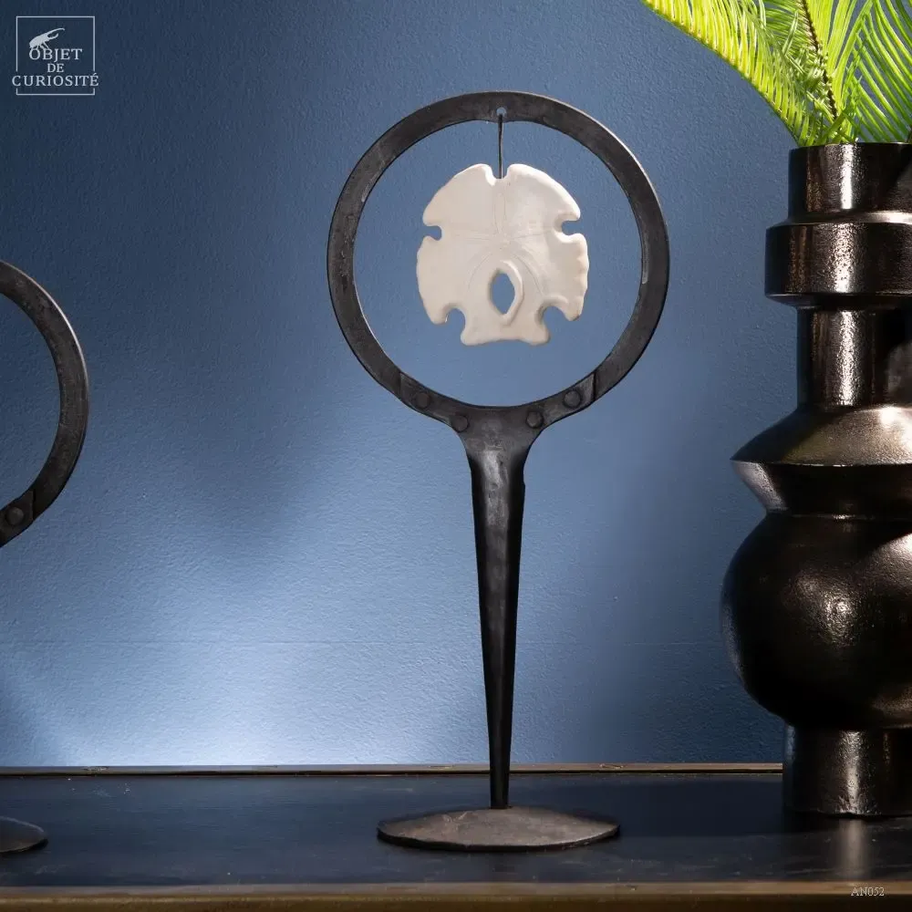 Decorative objects - Rainbow crystal box - OBJET DE CURIOSITÉ