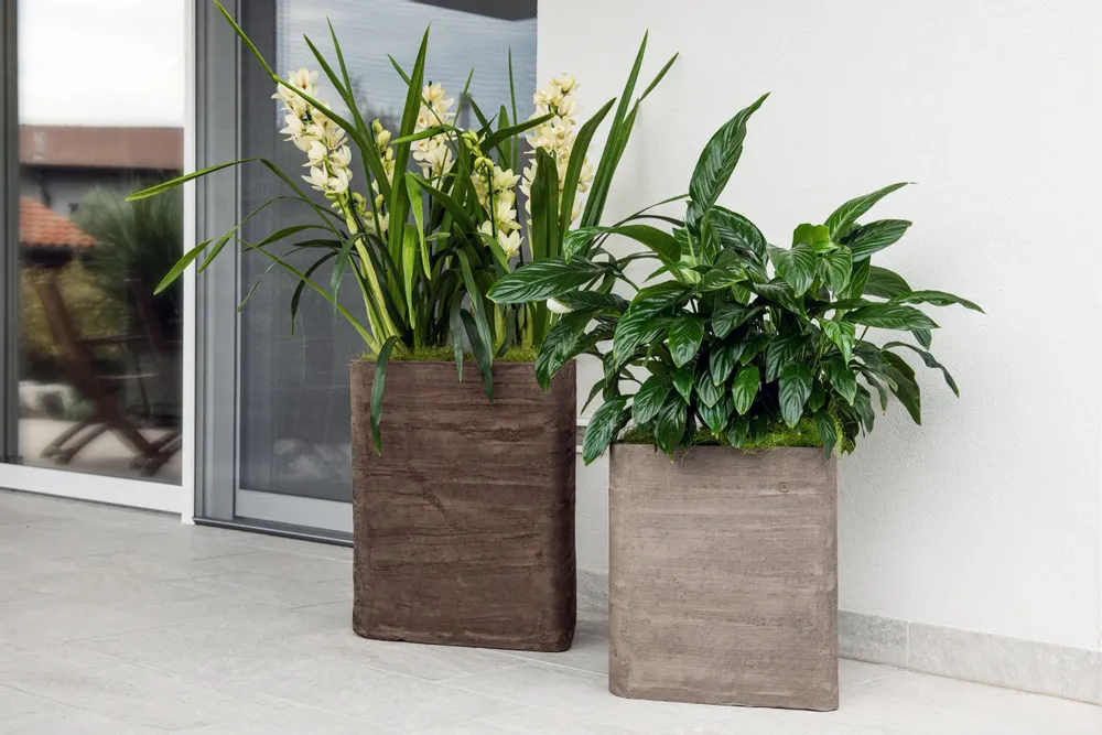 Pots de fleurs - MONT BLANC - POT À PORTER