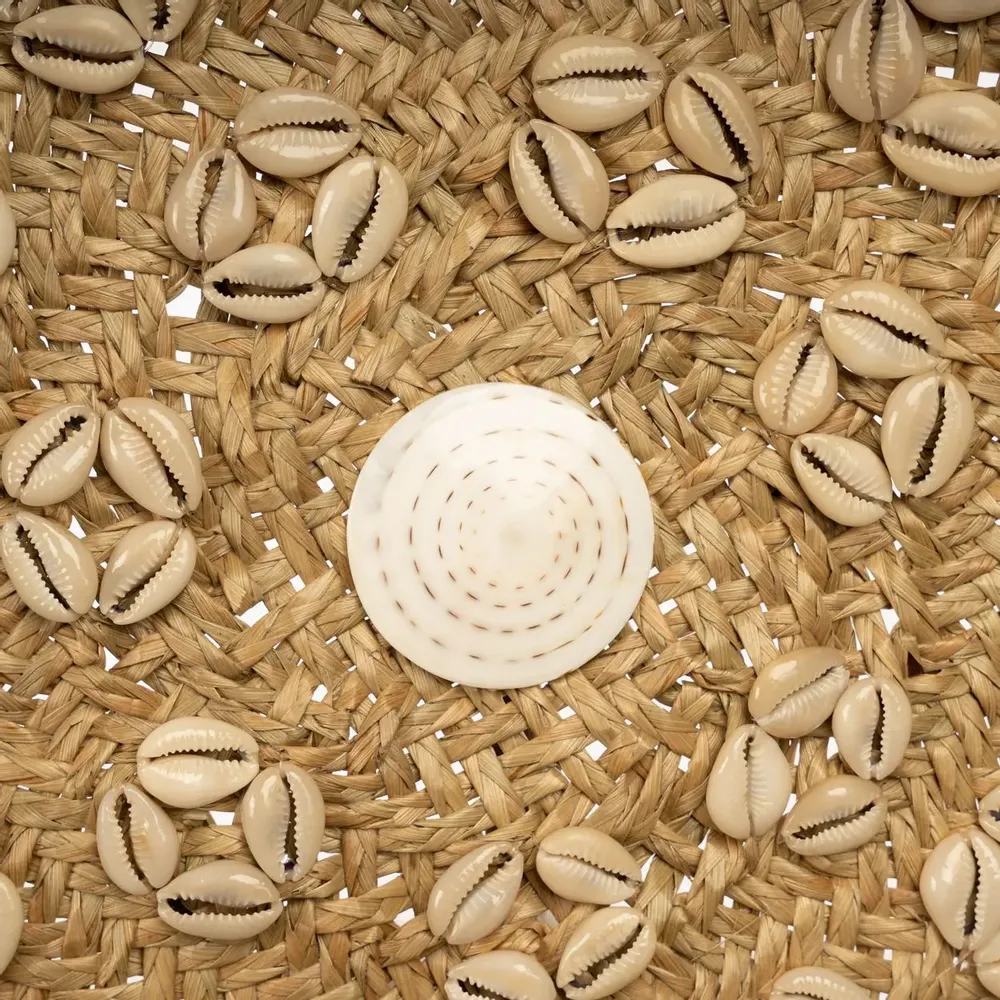 Other wall decoration - The Caribe Shell Plate - Natural White - M - BAZAR BIZAR LIVING