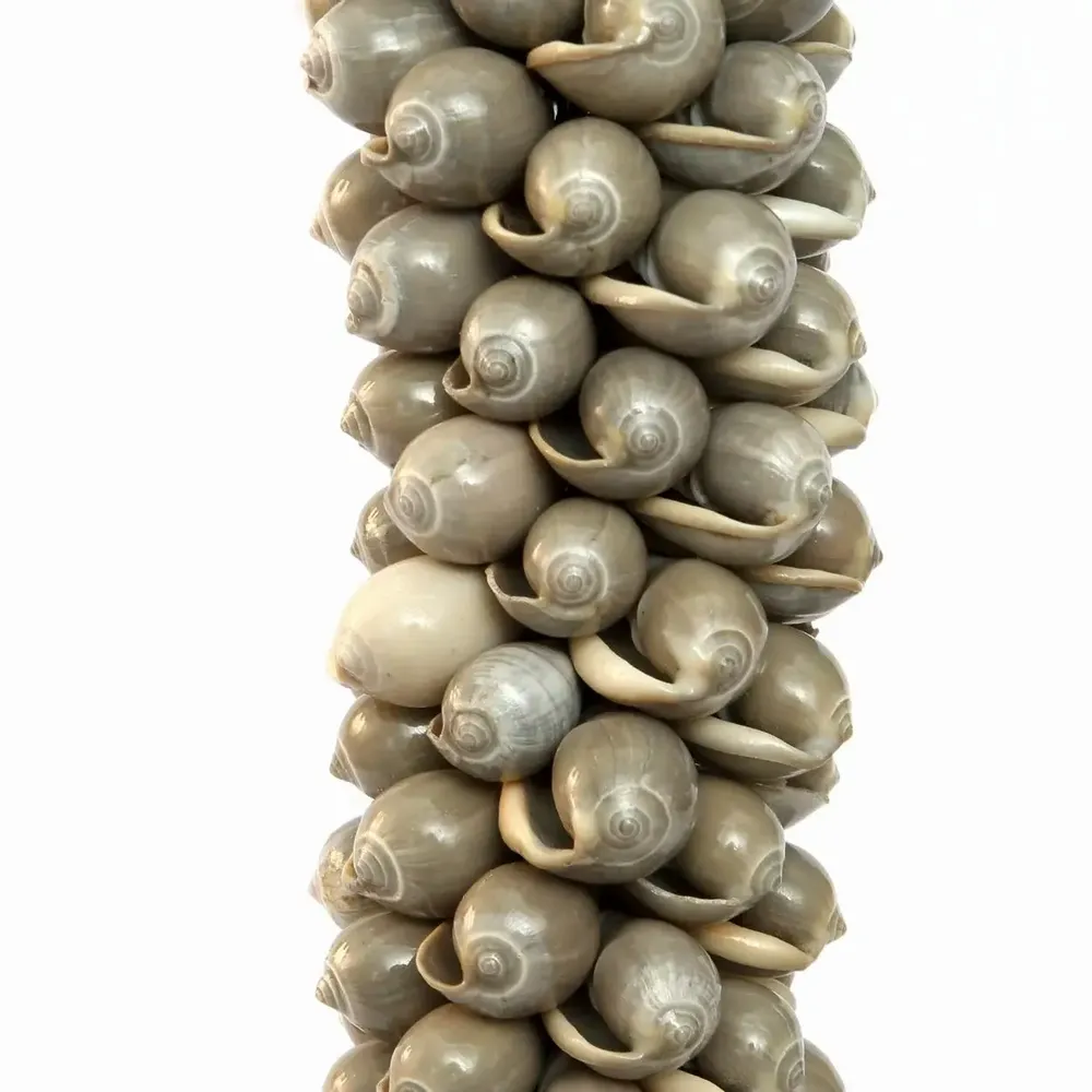Decorative objects - The Shell & Cotton Tassel - Grey - BAZAR BIZAR LIVING