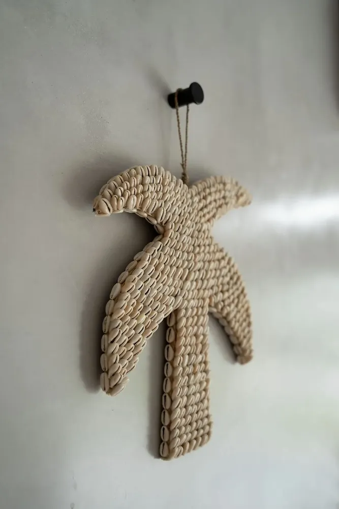 Objets de décoration - Le palmier à carapace - Naturel - BAZAR BIZAR LIVING