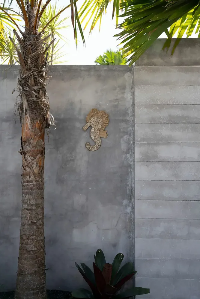 Objets de décoration - Le Cheval de Mer Shell - Blanc - BAZAR BIZAR LIVING