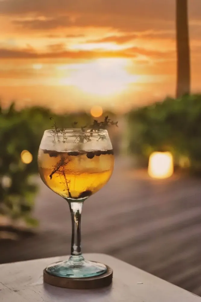 Table mat - The Teak Root Boho Coaster - BAZAR BIZAR LIVING