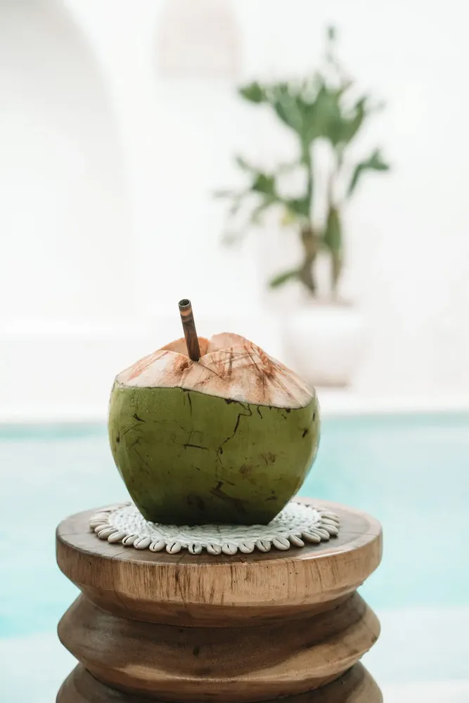 Maniques - Le Dessous De Plat Seagrass Shell - Blanc - BAZAR BIZAR LIVING