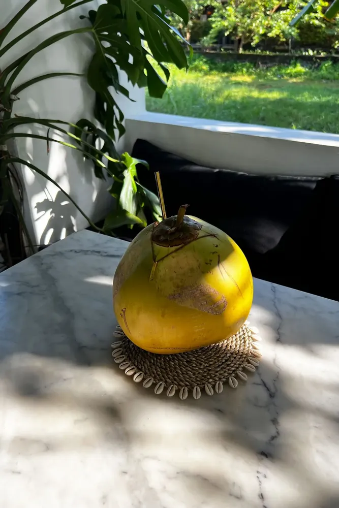 Maniques - Le Dessous De Plat Seagrass Shell - Naturel - BAZAR BIZAR LIVING