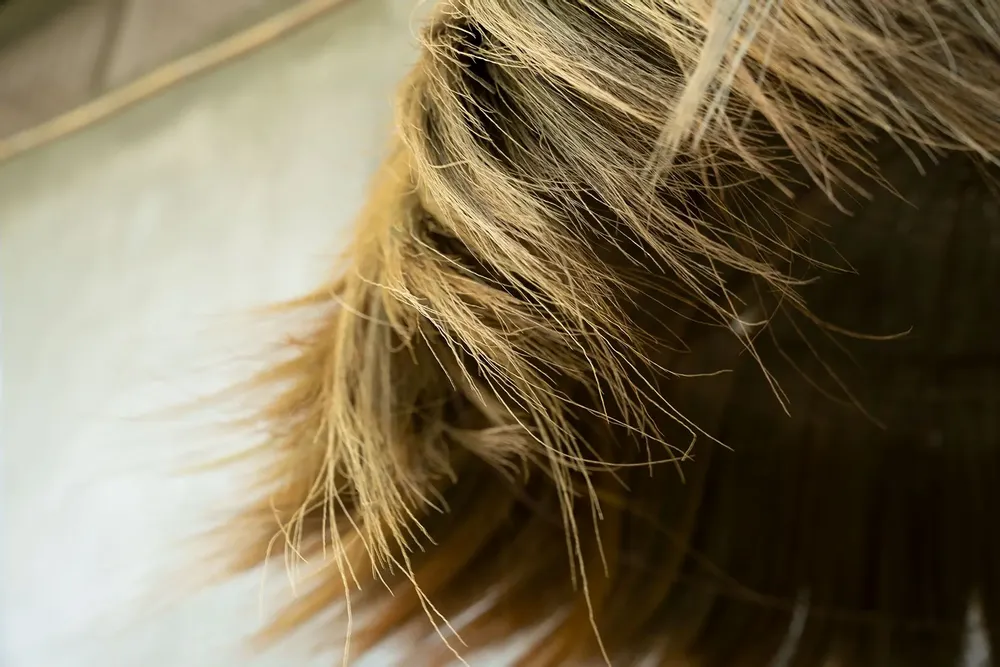 Suspensions - L'Abat-Jour Makiki - Naturel - XL - BAZAR BIZAR LIVING