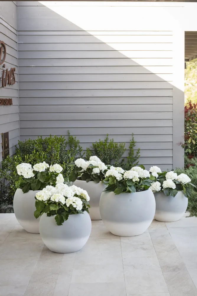 Pots de fleurs - CORTINA - POT À PORTER