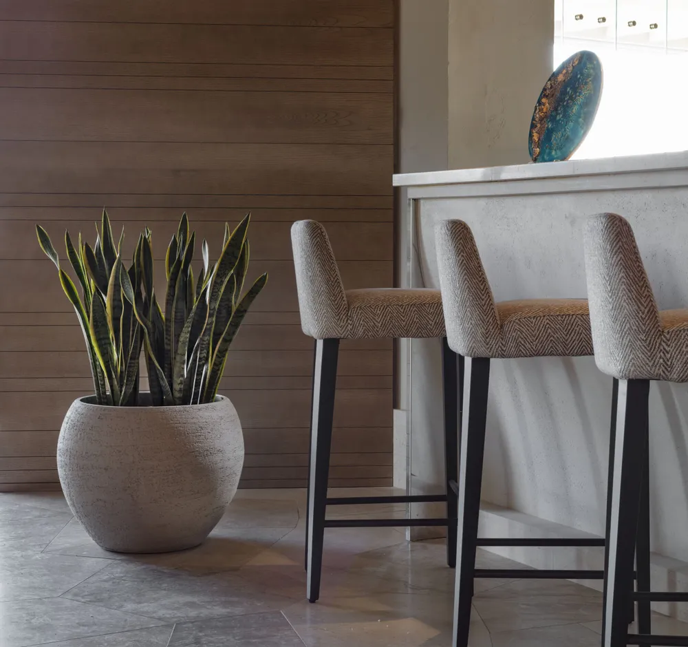 Vases - MILANO - POT À PORTER