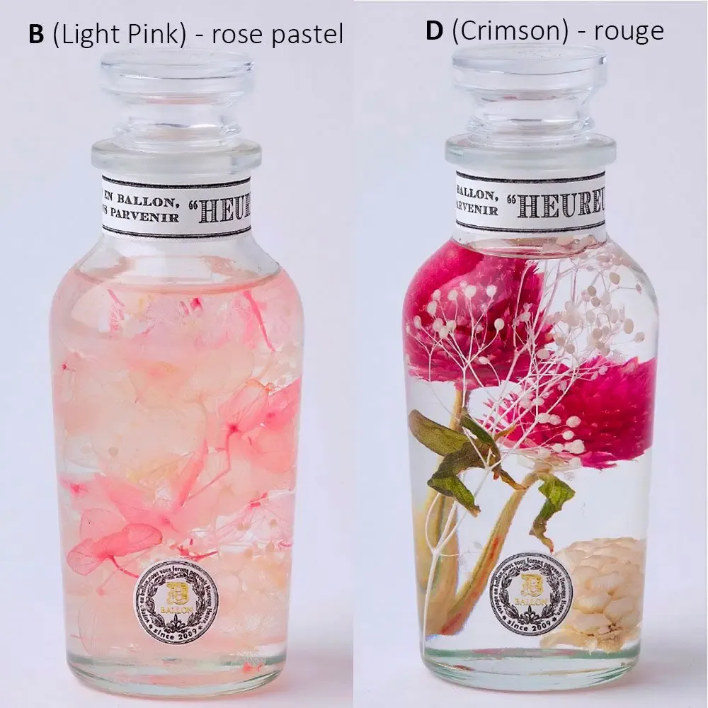 Floral decoration - Herbarium, decorative object/BALLOON - ABINGPLUS