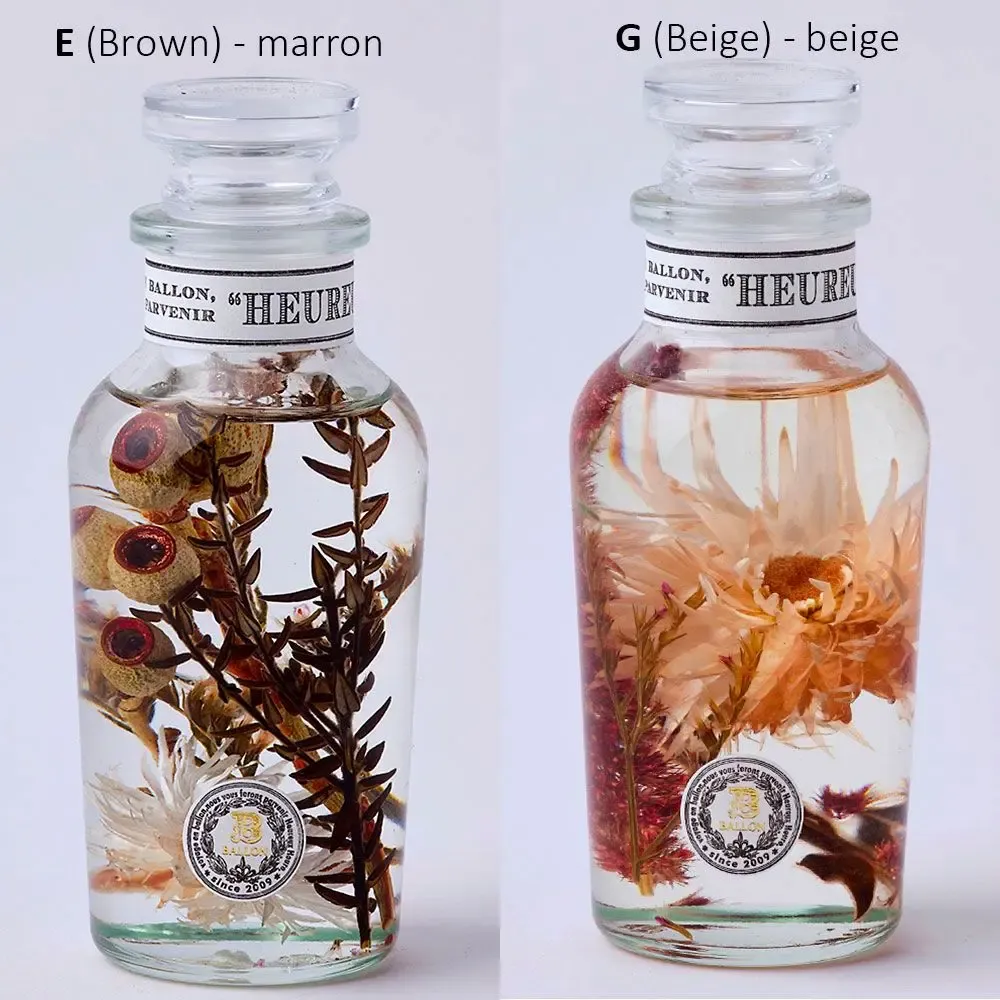 Floral decoration - Herbarium, decorative object/BALLOON - ABINGPLUS