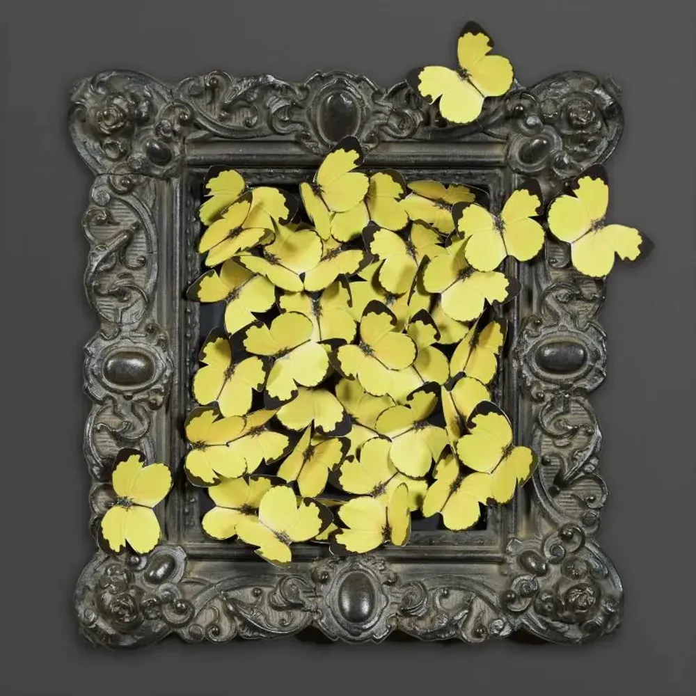 Decorative objects - POETIC CURIOSITIES - ATELIERS DAVOY