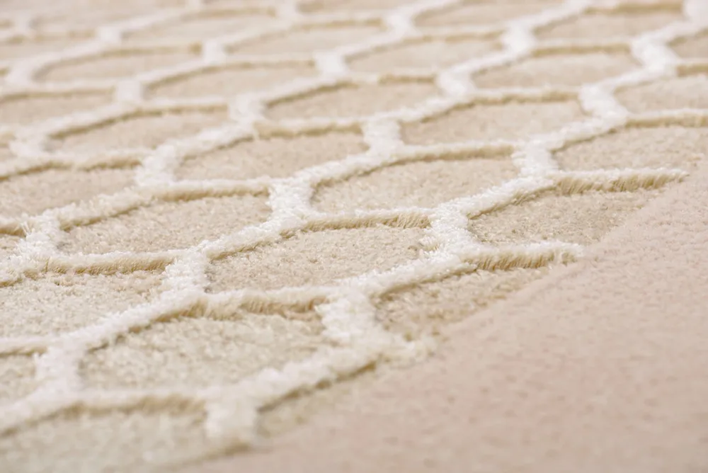 Contemporary carpets - Weightlelessness Rug I Gravity - SOFTICATED