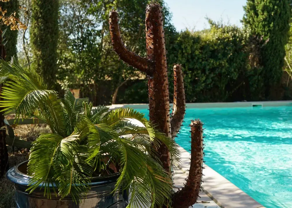 Outdoor decorative accessories - Cactus candelabre - ARROSOIR & PERSIL