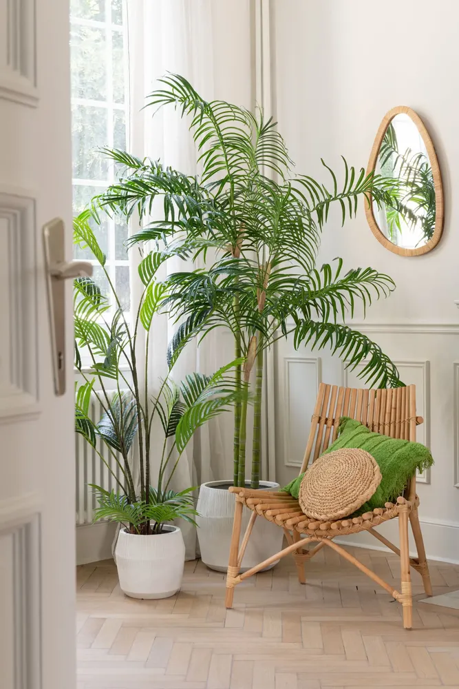 Objets de décoration - Amazonian Rainforest - J-LINE BY JOLIPA