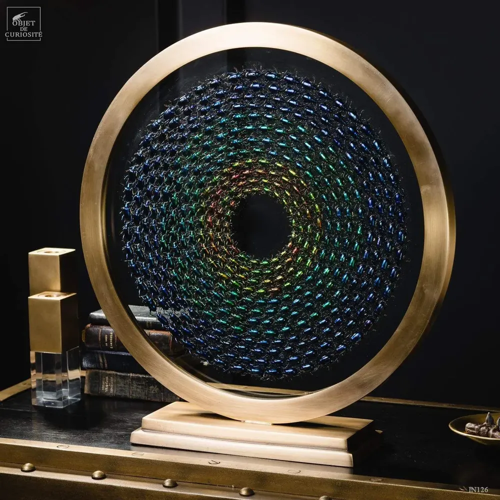 Objets de décoration - Notre collection d'insectes. - OBJET DE CURIOSITÉ